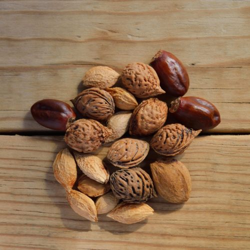 Plant-Based com Funcionalidade: Muito Além de uma Alimentação Saudável