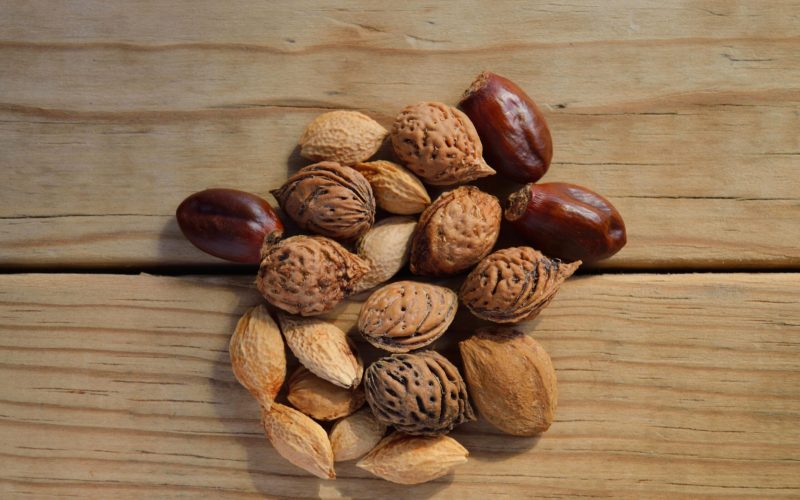 Plant-Based com Funcionalidade: Muito Além de uma Alimentação Saudável